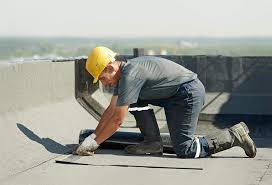 Best Roof Insulation Installation  in Homestead, FL